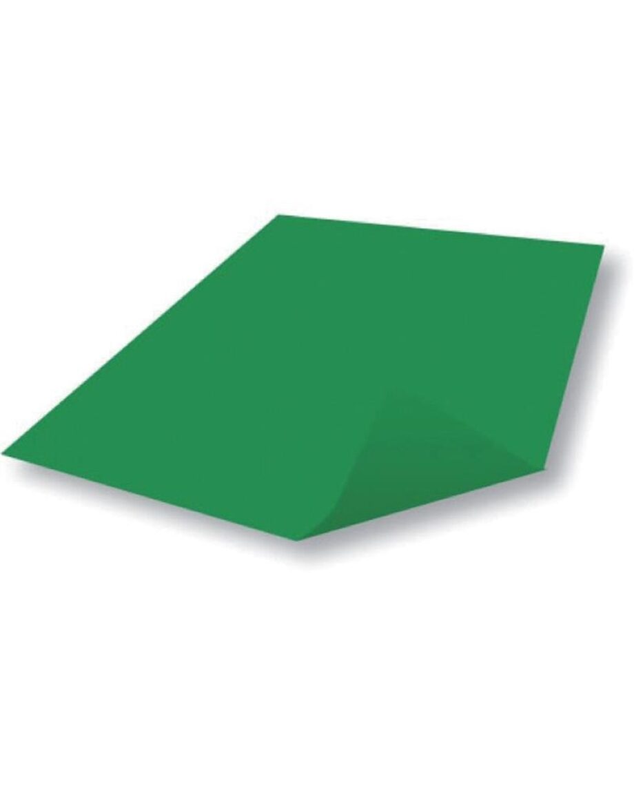Poster Paper Sheets 510x760mm Leaf Green Westcare Education Supply Shop