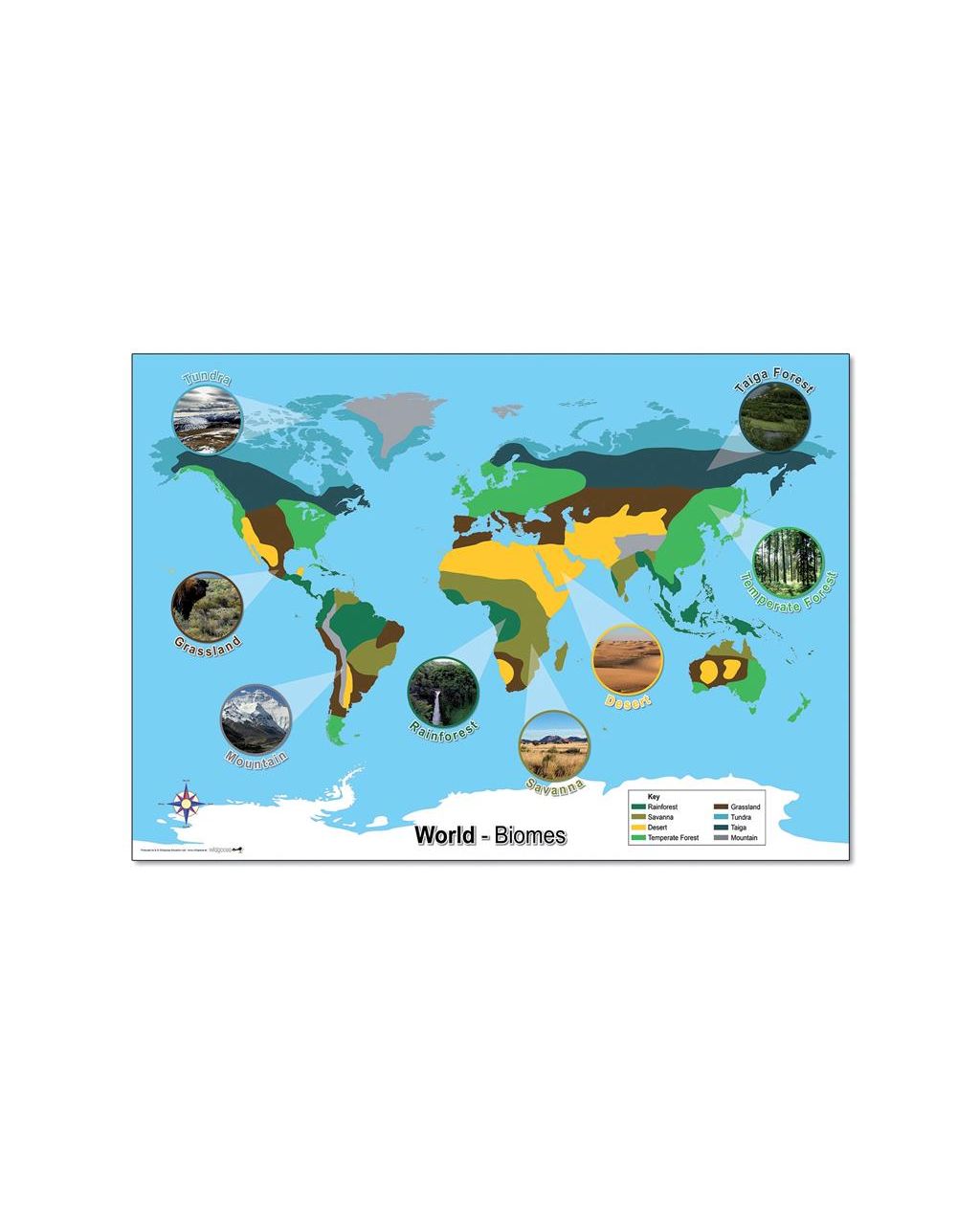 World Biomes Map – Westcare Education Supply Shop